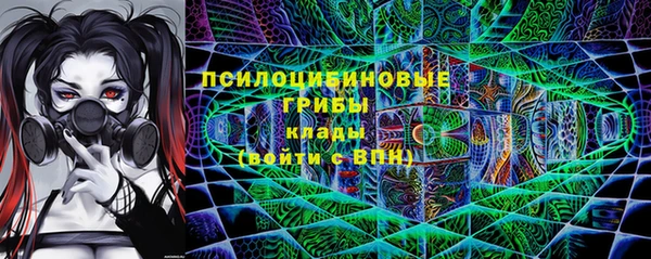 твердый Михайловка