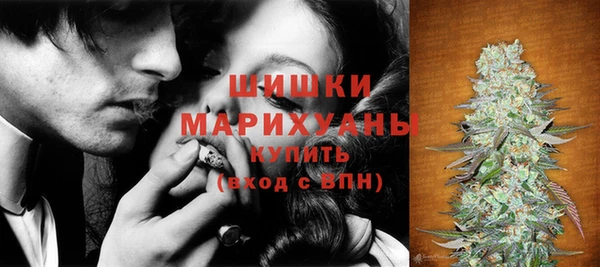 спиды Михайлов