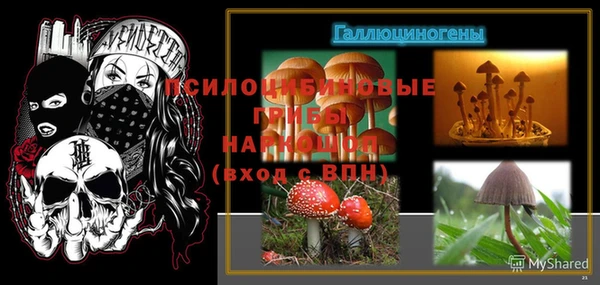 твердый Михайловка