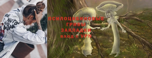 твердый Михайловка