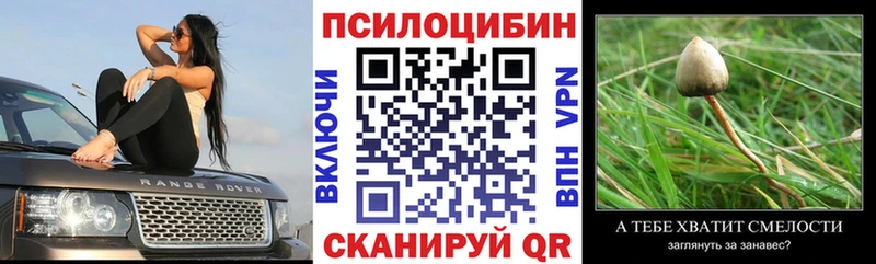 Галлюциногенные грибы мицелий  Тында 